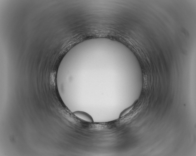 X0000111430286200907131046