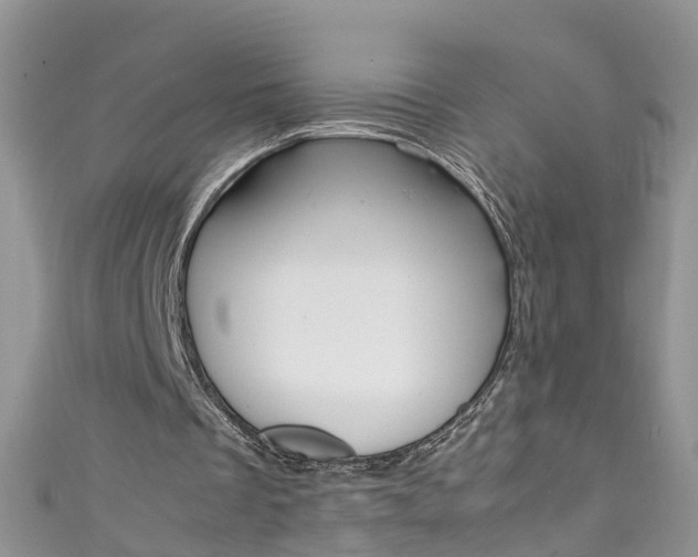 X0000111430289200907131046