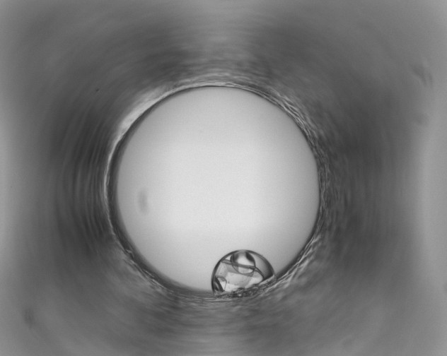 X0000111430292200907131046