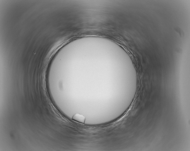 X0000111430293200907131046
