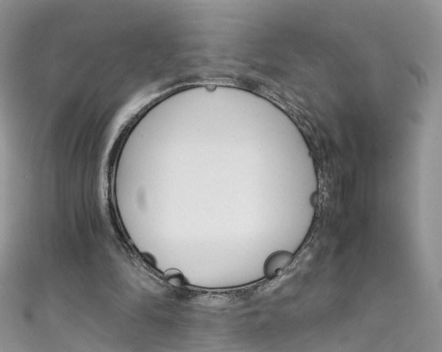X0000111430294200907131046