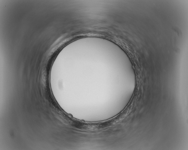 X0000111430295200907131046