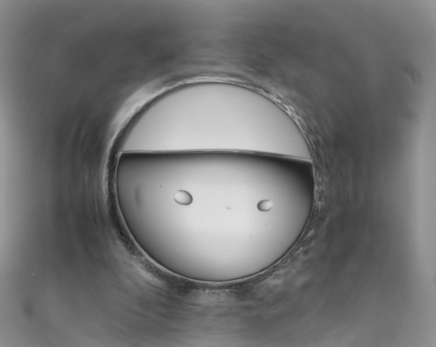 X0000111430296200907131046