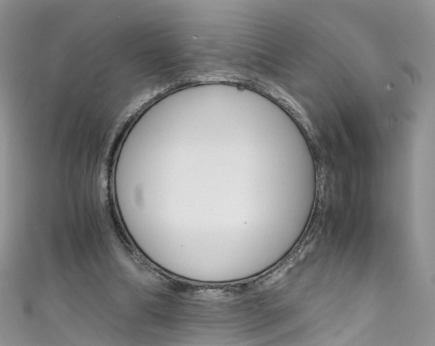 X0000111430298200907131046