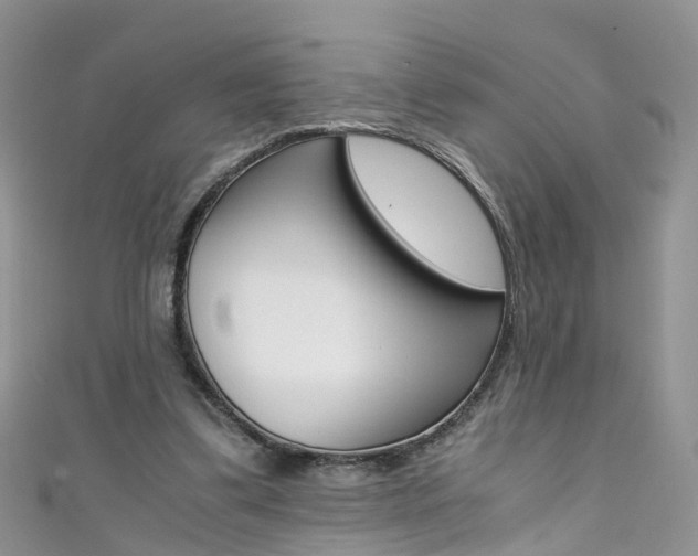 X0000111430299200907131046