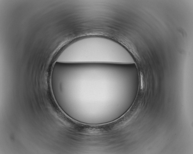 X0000111430300200907131046