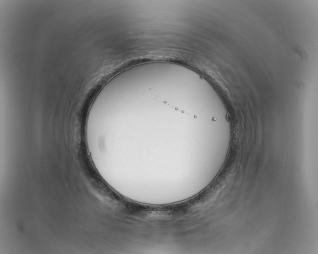 X0000111430303200907131046