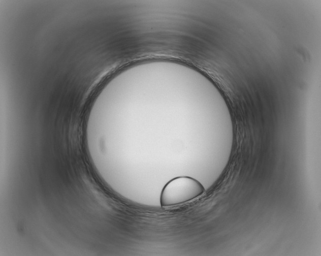 X0000111430304200907131046