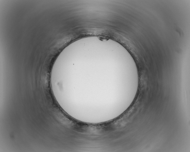 X0000111430305200907131046