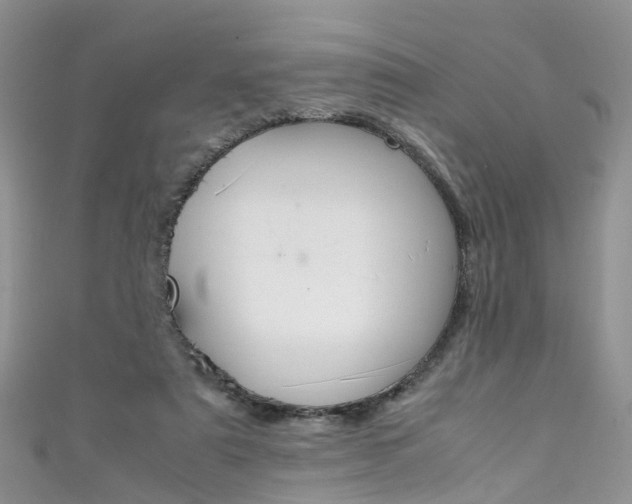 X0000111430307200907131046
