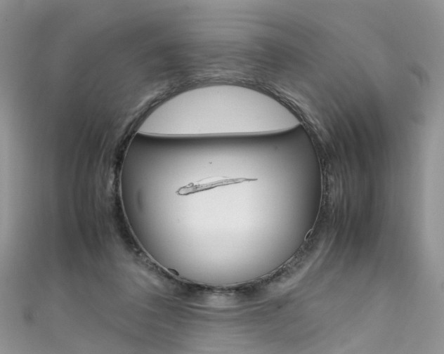 X0000111430308200907131046
