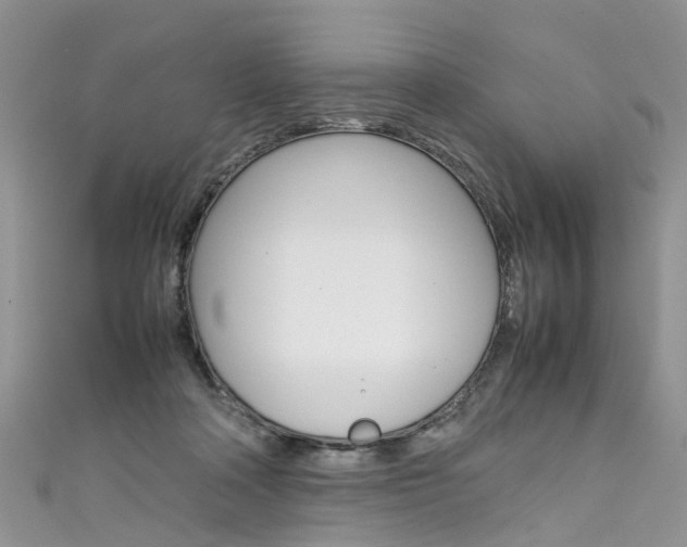 X0000111430314200907131045