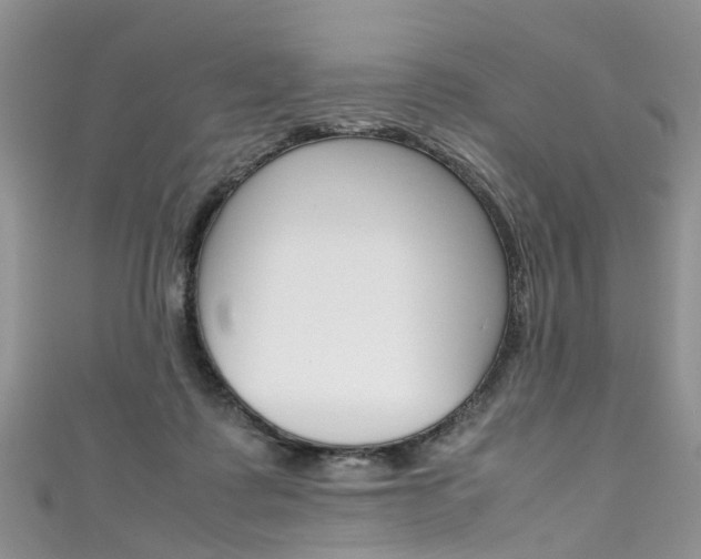 X0000111430315200907131045
