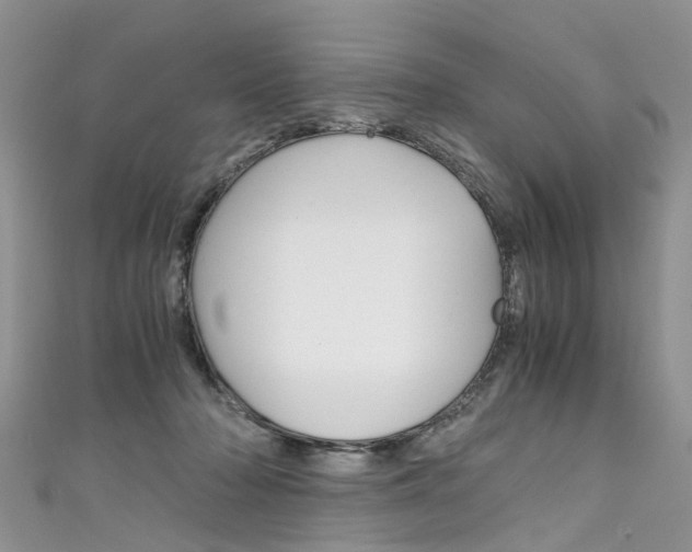 X0000111430318200907131045