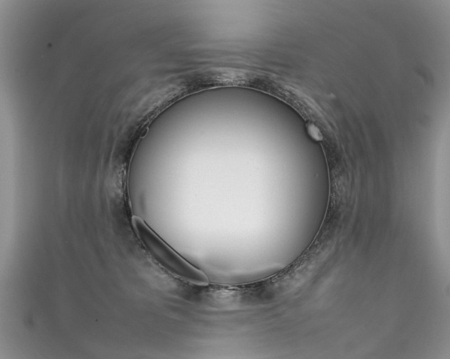 X0000111430325200907131045