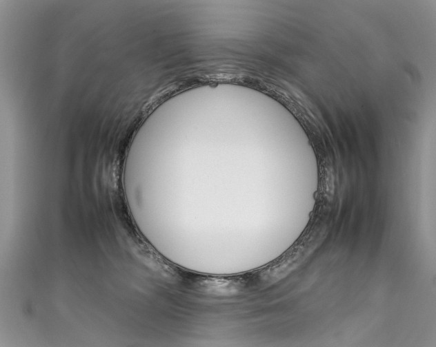 X0000111430326200907131045