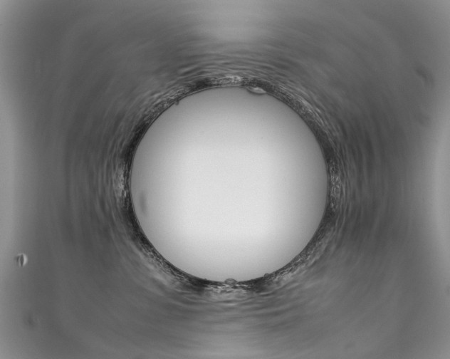 X0000111430331200907131045