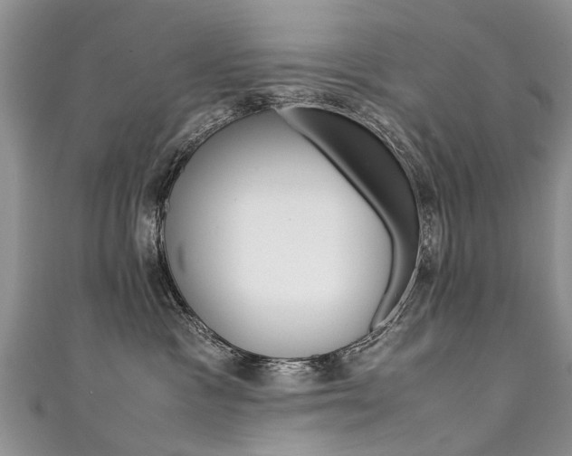 X0000111430333200907131045