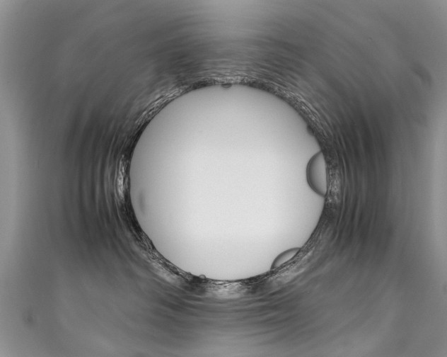 X0000111430334200907131045
