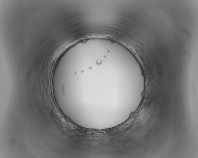 X0000111430337200907131045