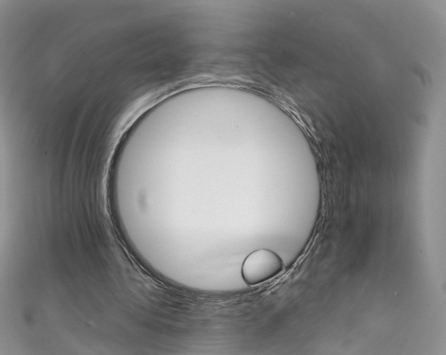 X0000111430340200907131045