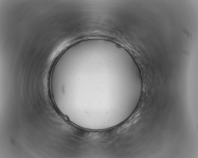 X0000111430341200907131045