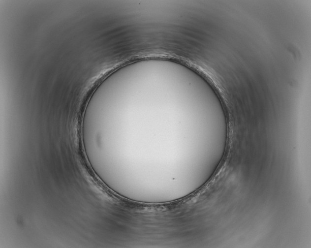 X0000111430345200907131045