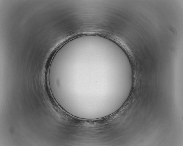 X0000111430346200907131045