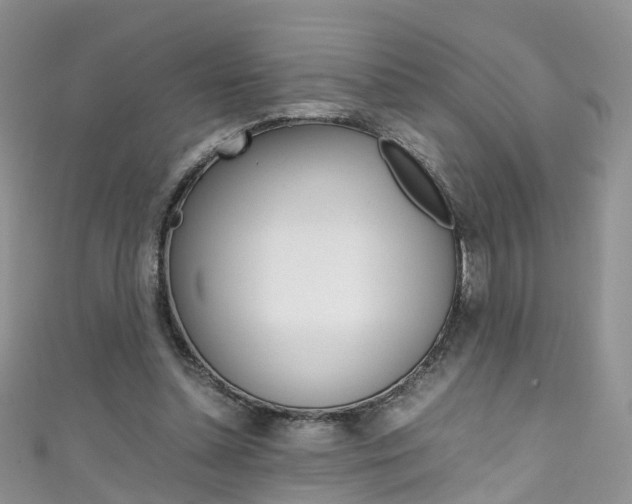 X0000111430348200907131045