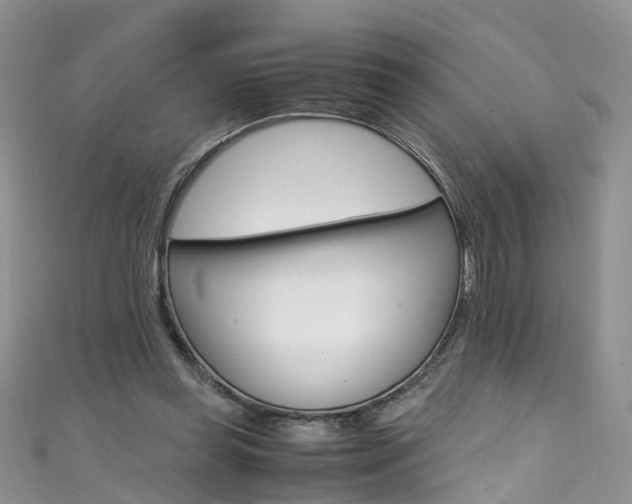 X0000111430349200907131045