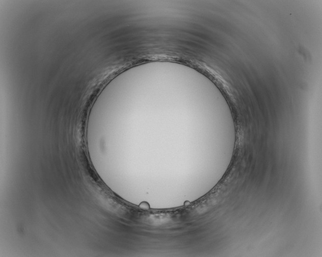 X0000111430353200907131045