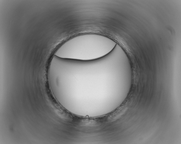 X0000111430354200907131045
