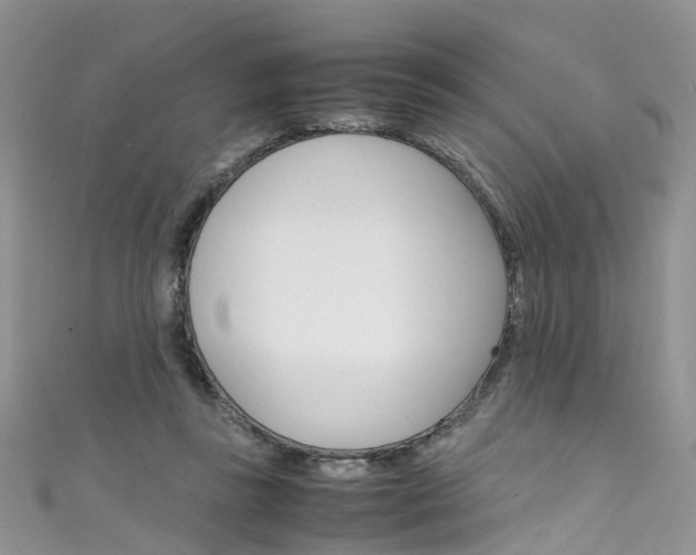 X0000111430355200907131045