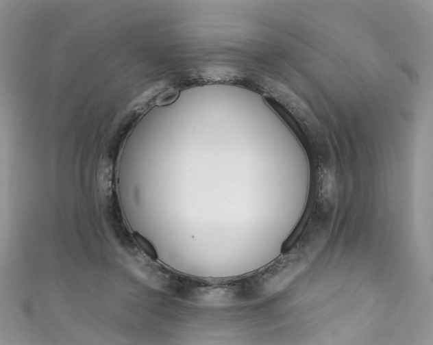 X0000111430356200907131045