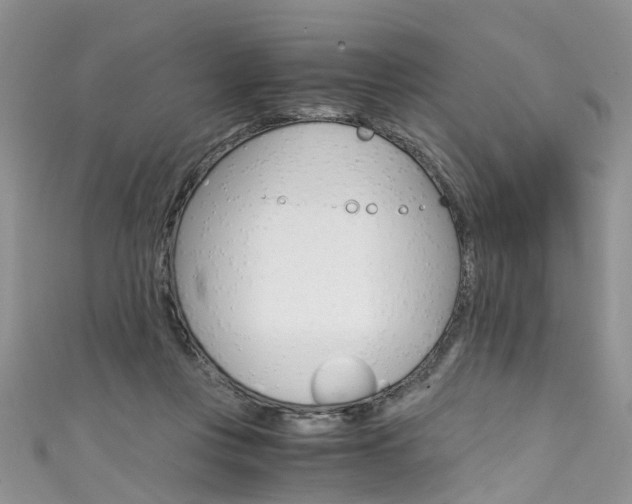 X0000111430359200907131045