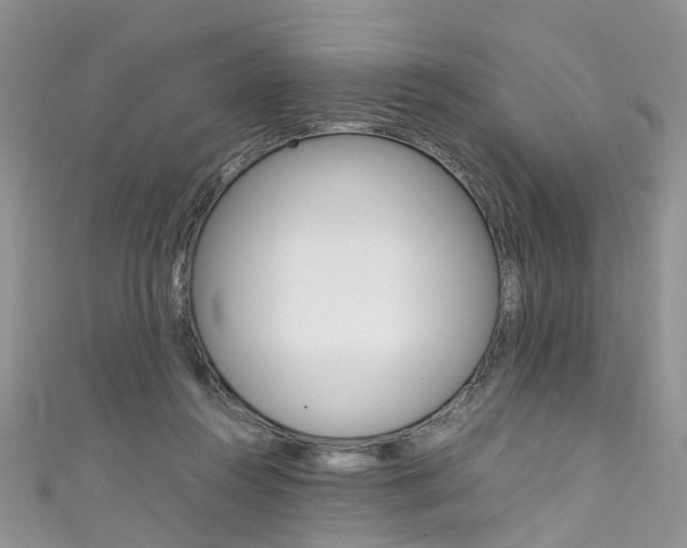 X0000111430360200907131045