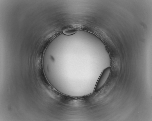 X0000111430364200907131045