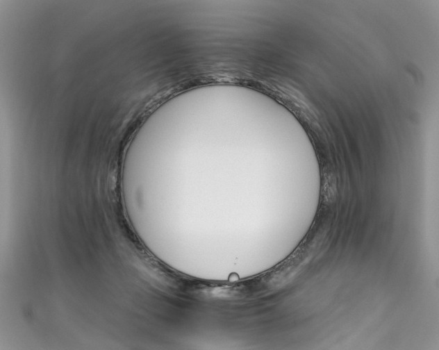 X0000111430365200907131045