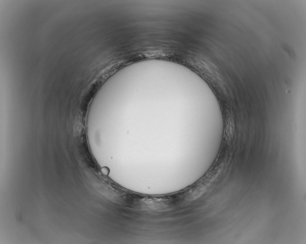 X0000111430367200907131045