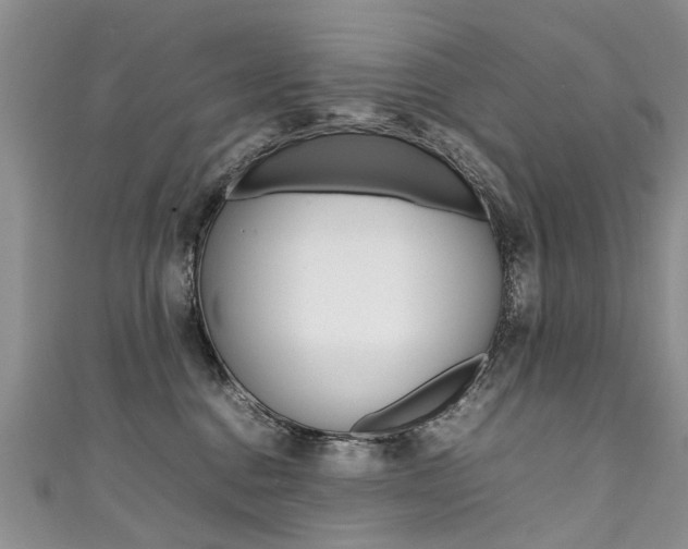 X0000111430376200907131045