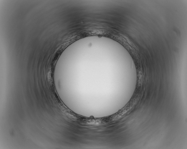 X0000111430377200907131045