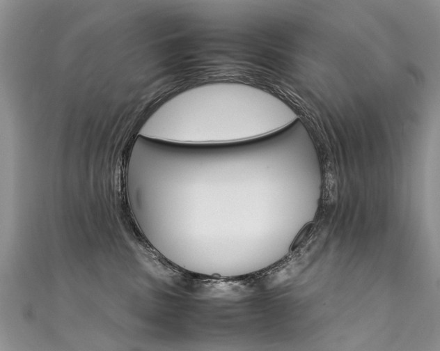 X0000111430379200907131045