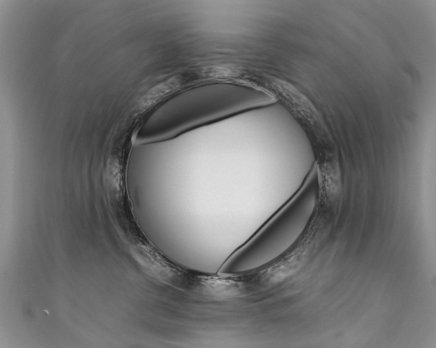 X0000111430380200907131045