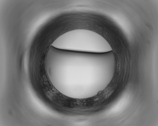 X0000111430383200907131045