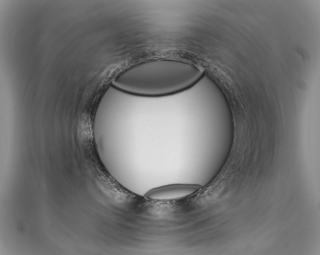 X0000111430384200907131045