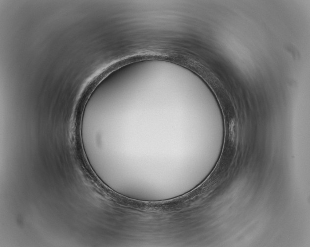 X0000111430388200907131045