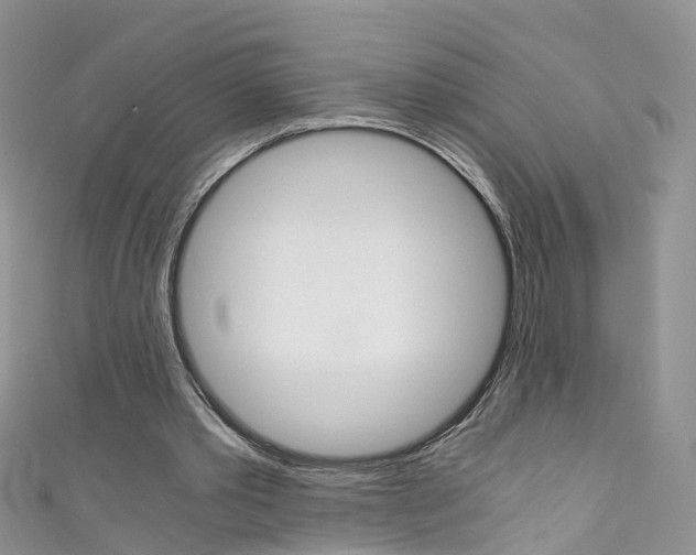 X0000111430389200907131045
