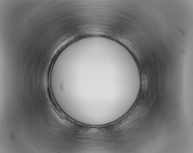 X0000111430390200907131044