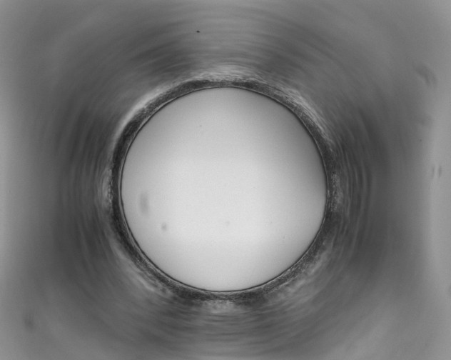 X0000111430392200907131044