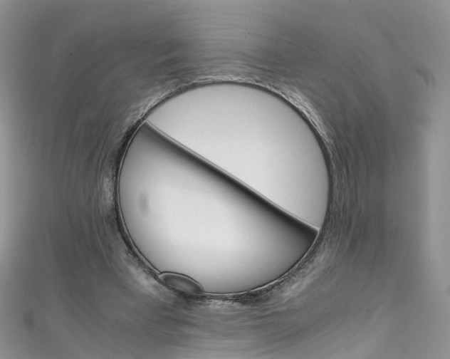 X0000111430393200907131044